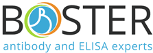 Boster Bio