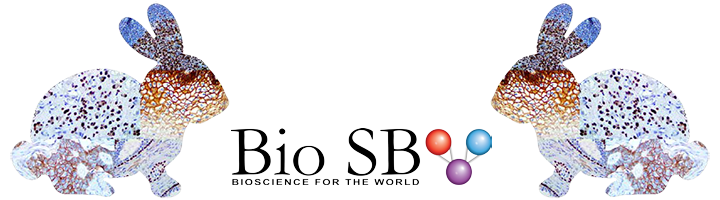 BioSB